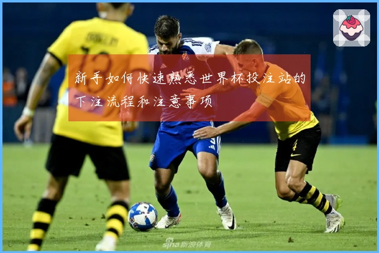 新手如何快速熟悉世界杯投注站的下注流程和注意事项
