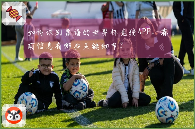 如何识别靠谱的世界杯竞猜APP，赛前信息有哪些关键细节？