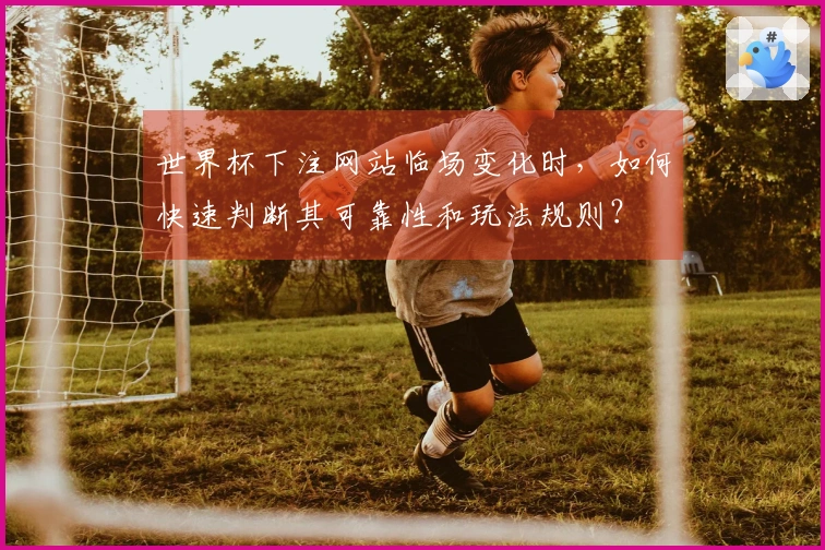 世界杯下注网站临场变化时，如何快速判断其可靠性和玩法规则？