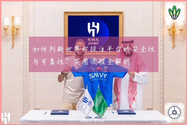 如何判断世界杯投注平台的安全性与可靠性？实用流程全解析