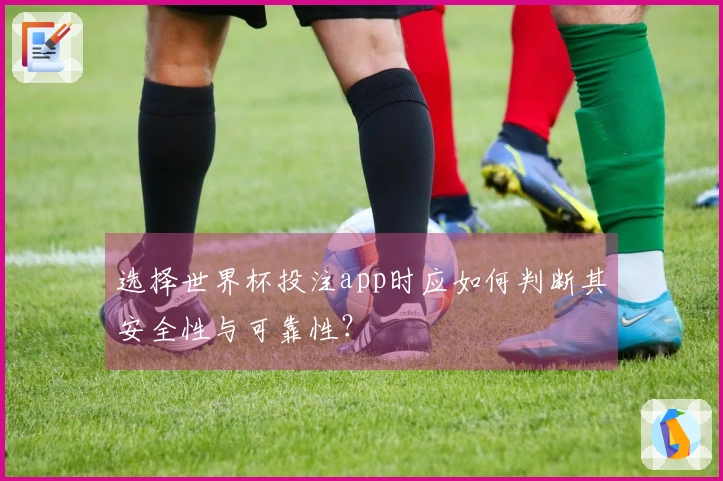 选择世界杯投注app时应如何判断其安全性与可靠性？