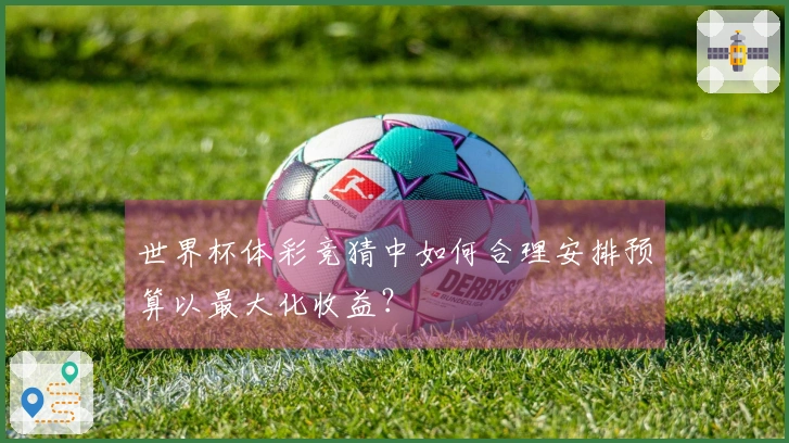 世界杯体彩竞猜中如何合理安排预算以最大化收益？
