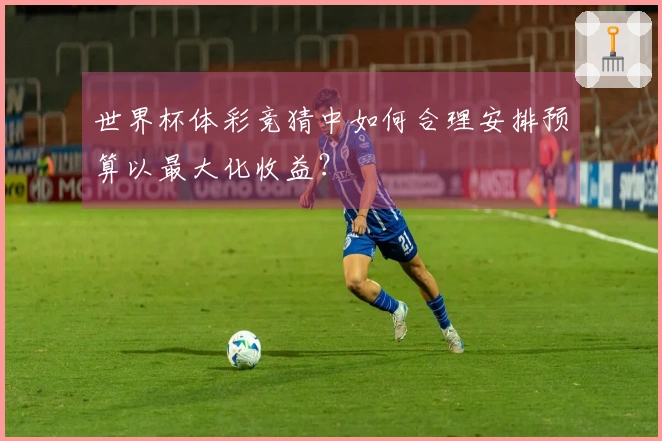 世界杯体彩竞猜中如何合理安排预算以最大化收益？