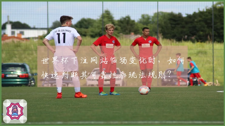 世界杯下注网站临场变化时，如何快速判断其可靠性和玩法规则？