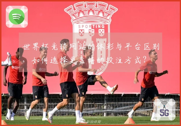 世界杯竞猜网站的体彩与平台区别，如何选择更靠谱的投注方式？